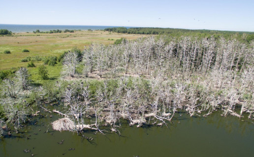 4_Palocio ezeras (2).jpg